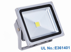 20 Watt Outdoor Bridgelux flood lights