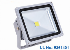 30 Watt Outdoor Bridgelux flood lights