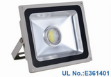 50 Watt Outdoor Bridgelux flood lights